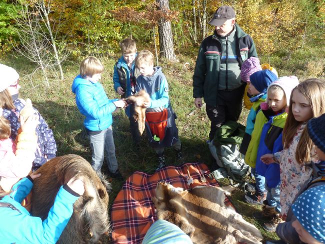 Waldtag2 2019 Kopie