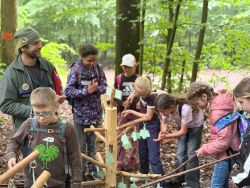 wald1