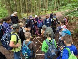 wald3