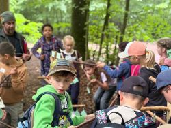 wald4
