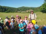 wiese4